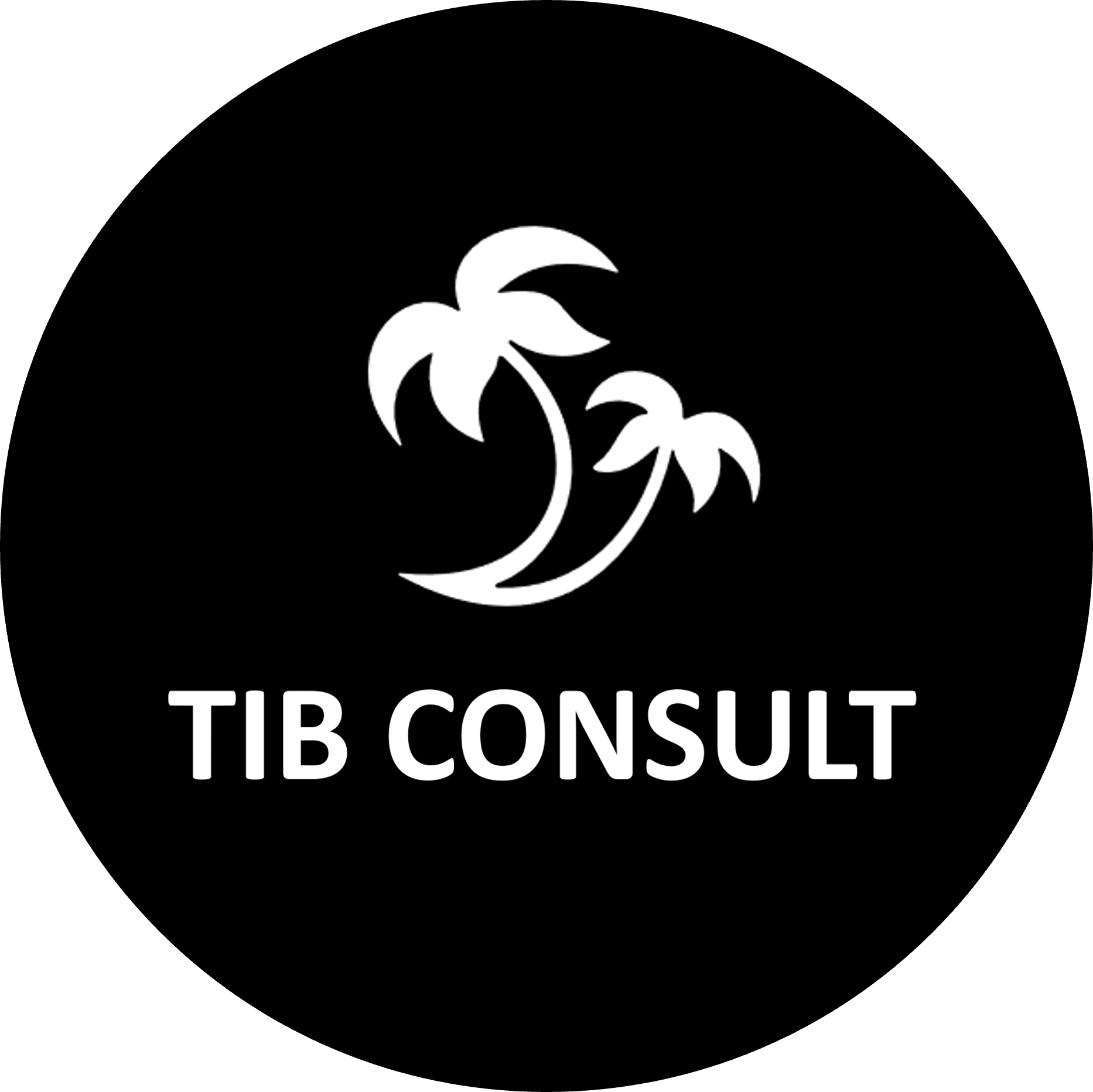 TIB CONSULT S.A.C