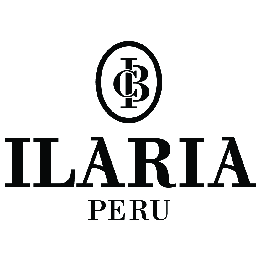 IDEAS APLICADAS SA